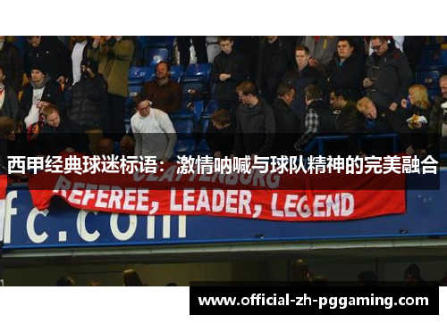 西甲经典球迷标语：激情呐喊与球队精神的完美融合