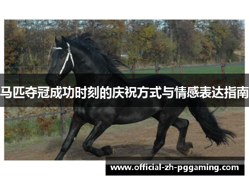 马匹夺冠成功时刻的庆祝方式与情感表达指南