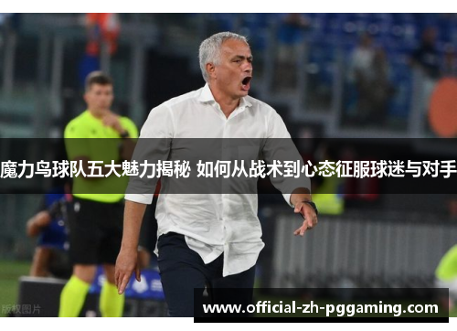魔力鸟球队五大魅力揭秘 如何从战术到心态征服球迷与对手