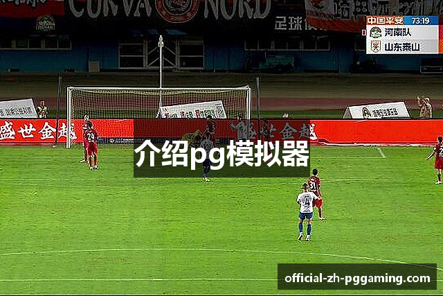 介绍pg模拟器